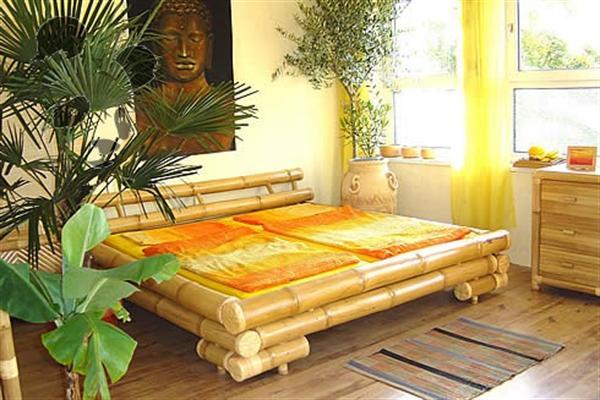 Бамбук комнатное растение значение. бамбук в доме: приметы и суеверия