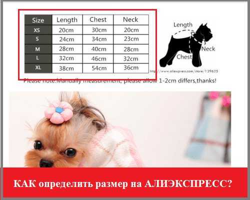 Одежда для собак на алиэкспресс: как подобрать размер