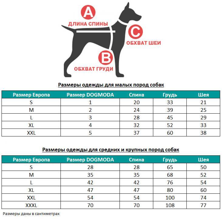 Как определить размер одежды для собаки? таблицы размеров
