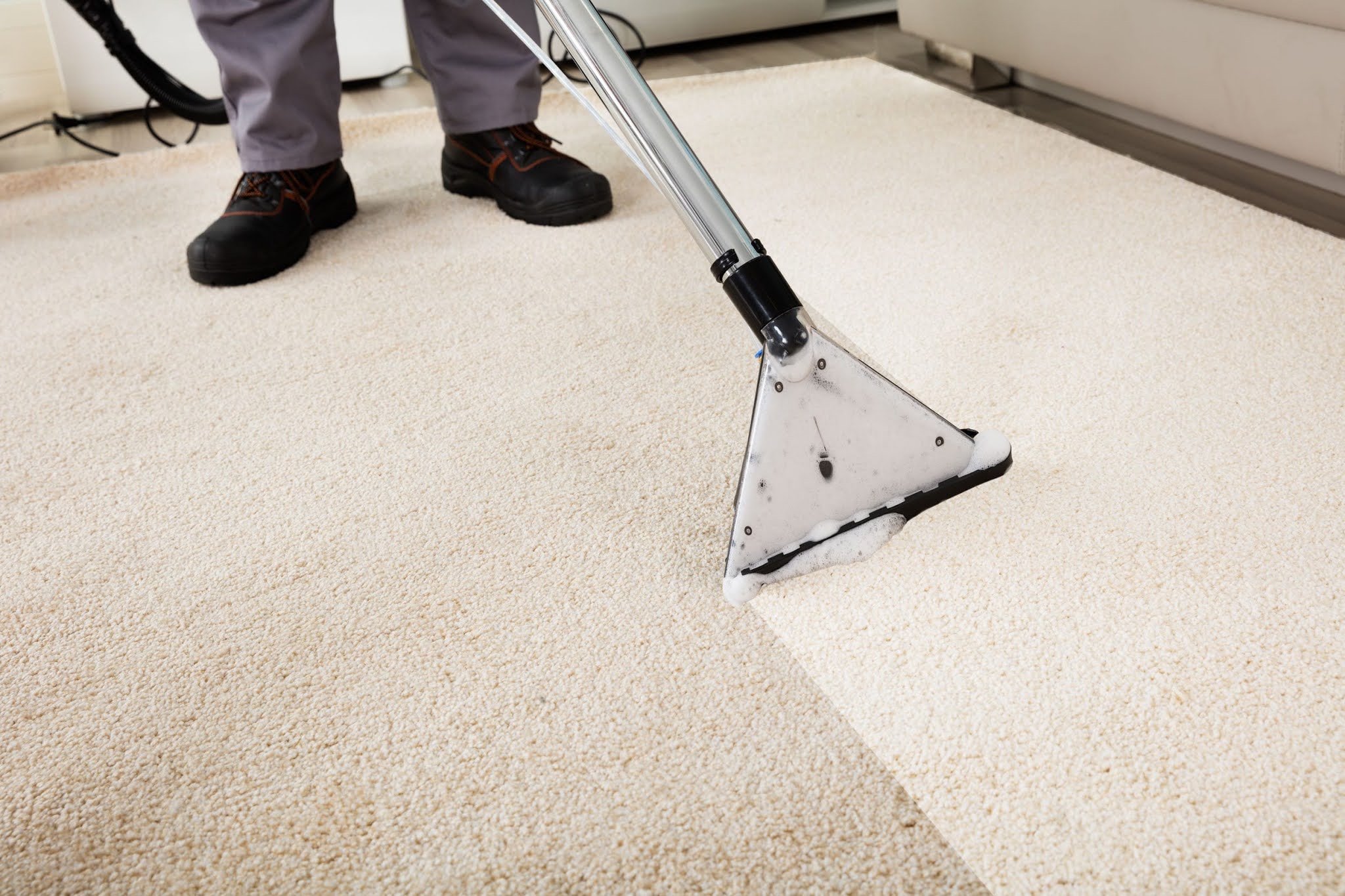 Сухая чистка ковров в домашних условиях: инструкции +видео