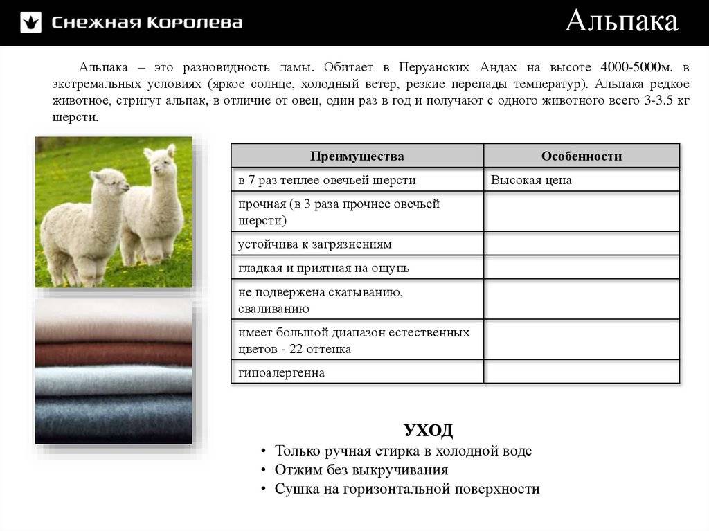 Ткань альпака: что это такое, характеристики и сферы применения
