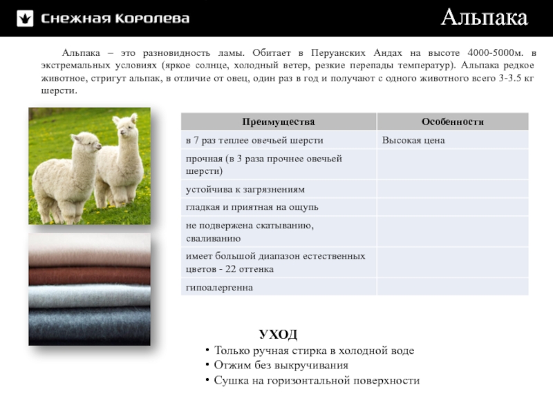 Что такое шерсть альпака? чем хороша эта шерсть? виды и свойства.