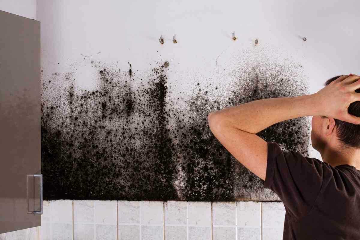 Сырость в ванной комнате - рекомендации и методы устранения последствий (70 фото)