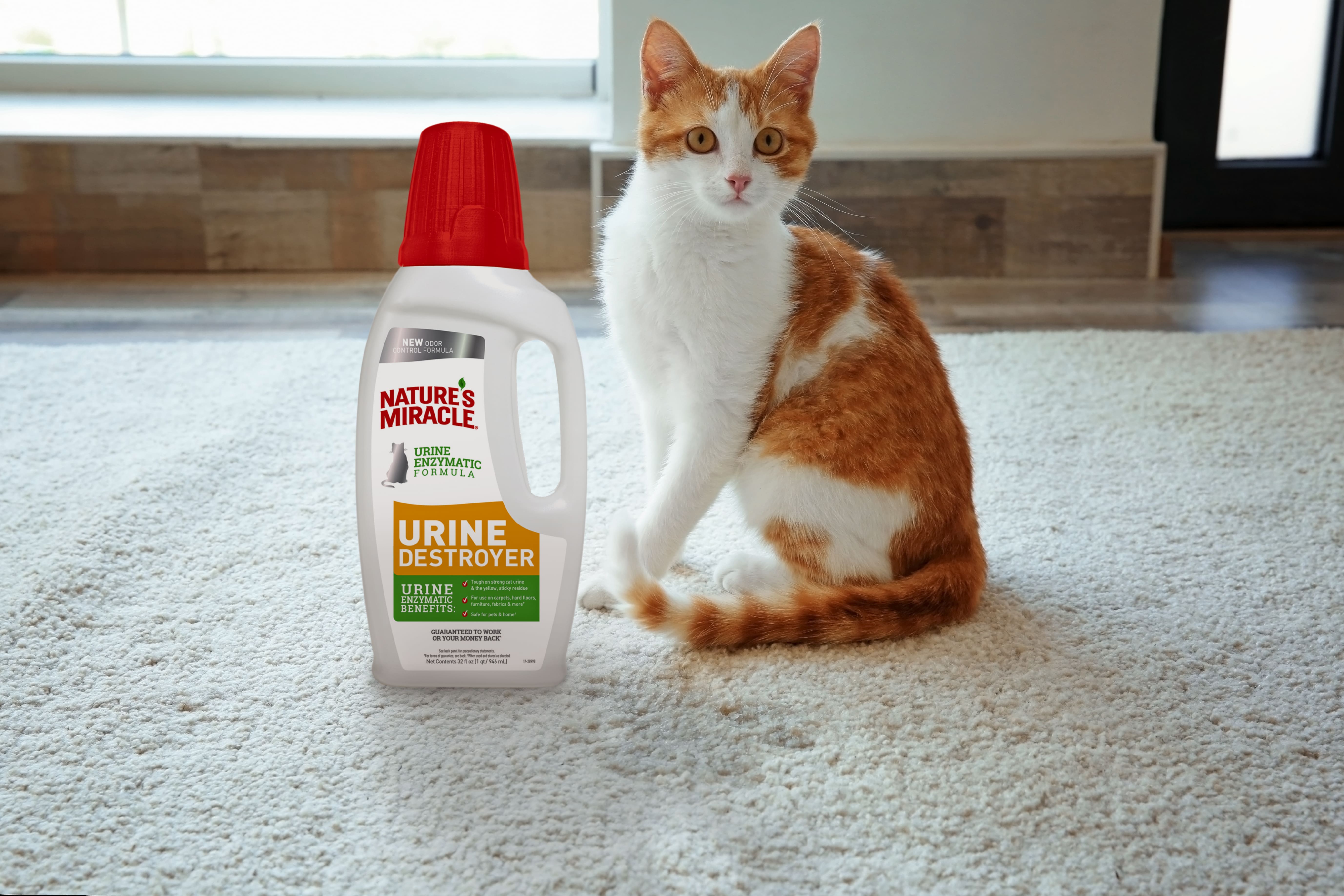 Как избавиться от запаха кошачьей мочи: советы и эффективные препараты