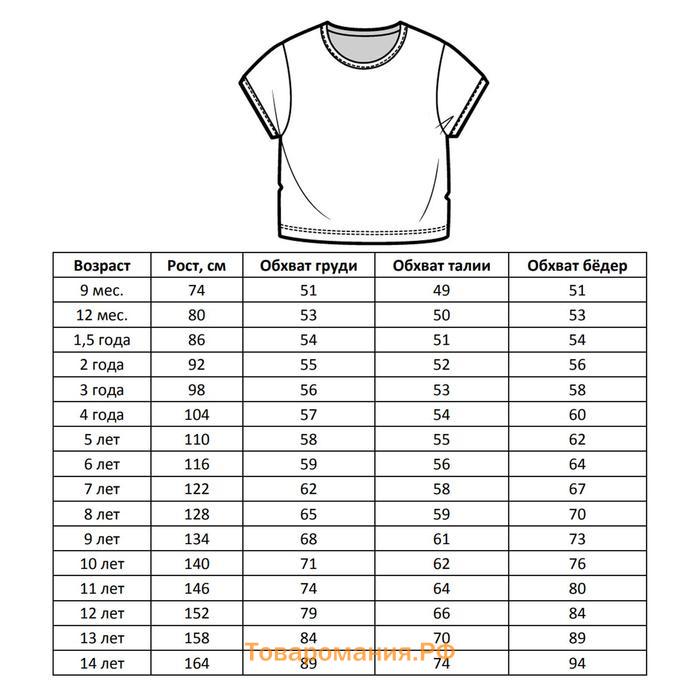 Как определить размер мужской футболки