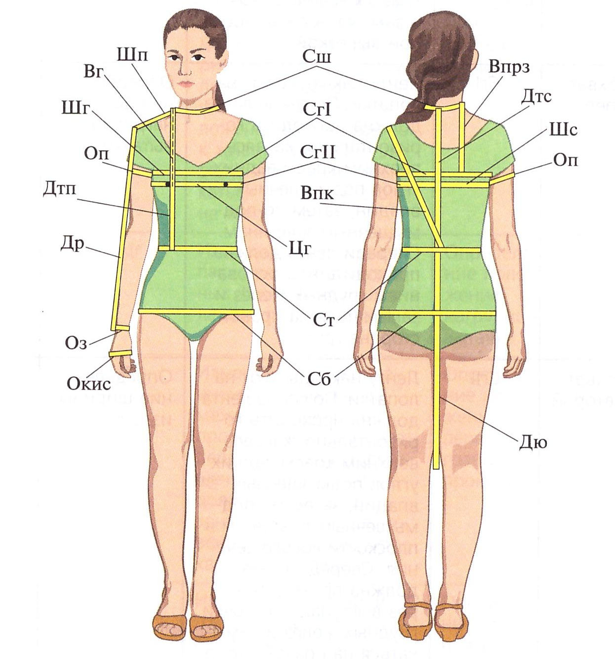 Как правильно снимать мерки для шитья идеальной юбки