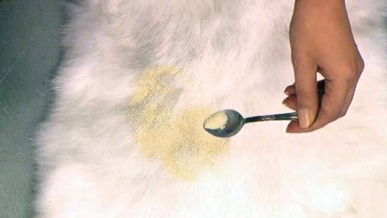 Как почистить белый мех в домашних условиях: обработка натурального песца и норки